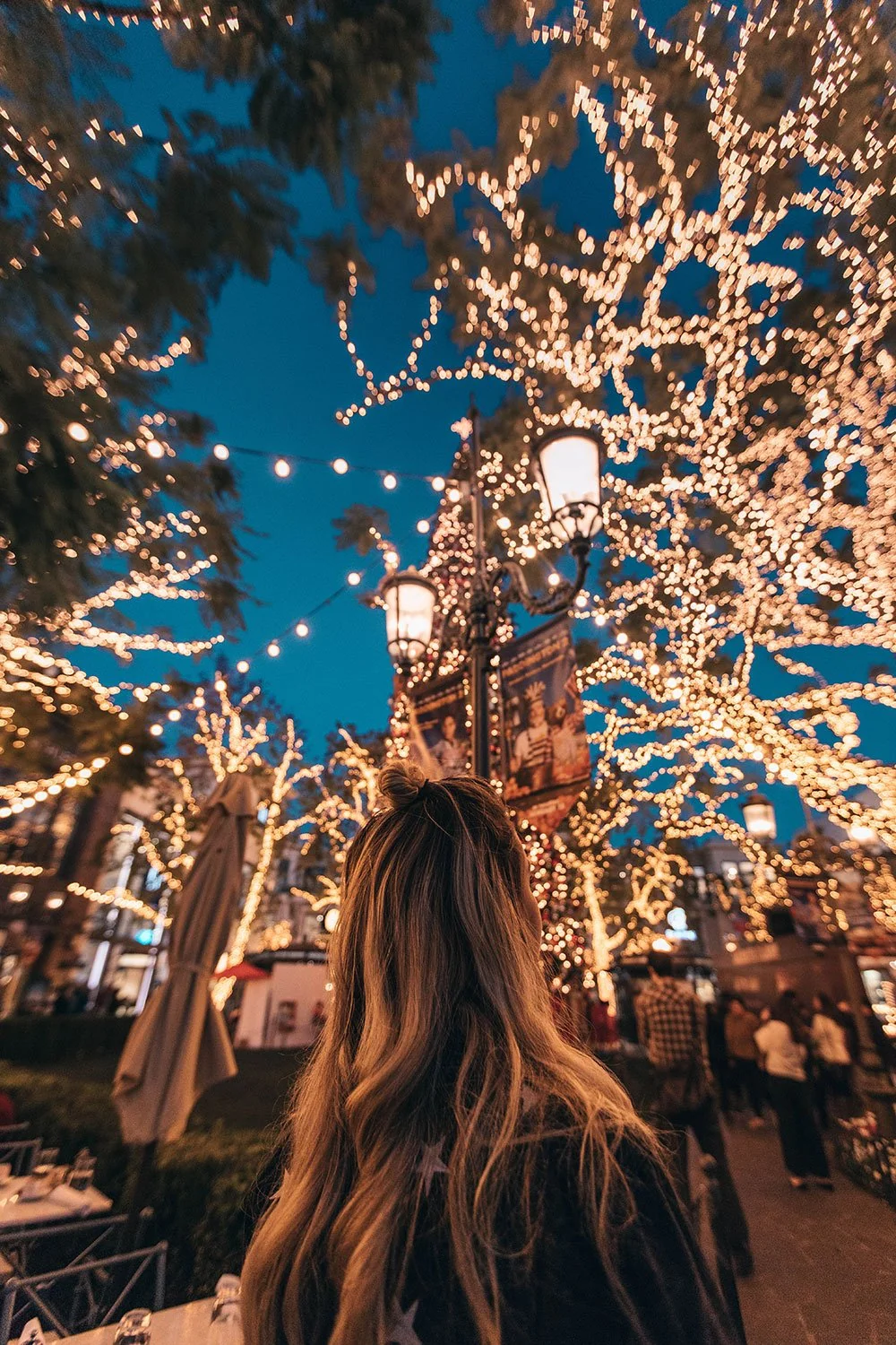 Trixie LED Solar Powered Fairy Lights for Garden, Home and Bar