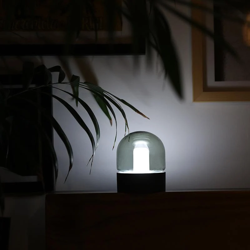 Asher Glas Kuppel Bordlampe med Én-Knaps Dæmpning og Sleep Timer