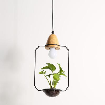 Zox Modern Nordic Iron Pendant Planter Lamp with 59 Inch Cable