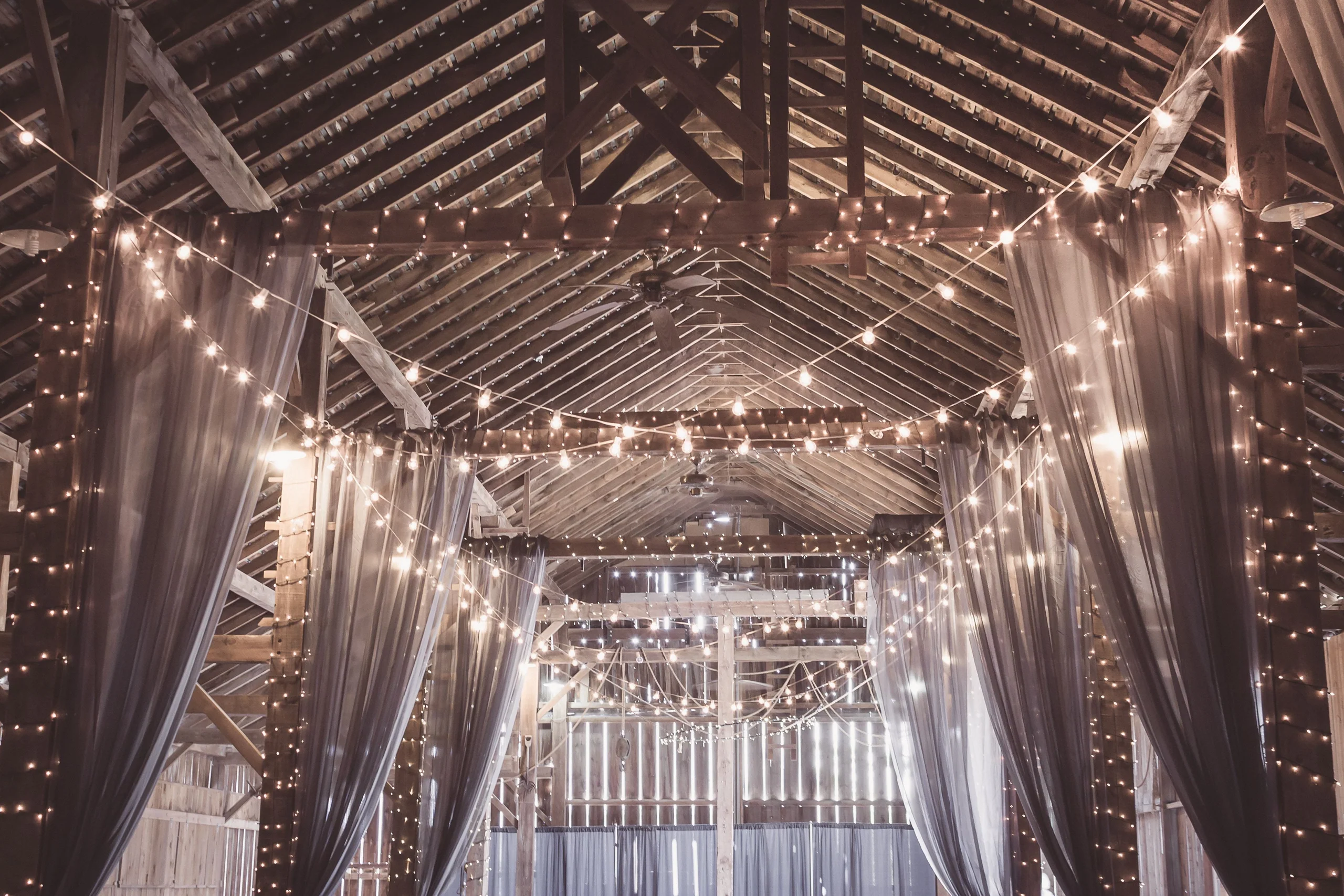 Trixie LED Solar Powered Fairy Lights for Garden, Home and Bar