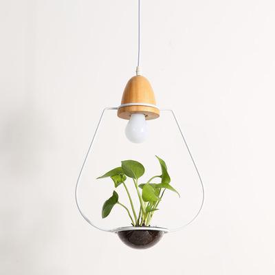 Zox Modern Nordic Iron Pendant Planter Lamp with 59 Inch Cable