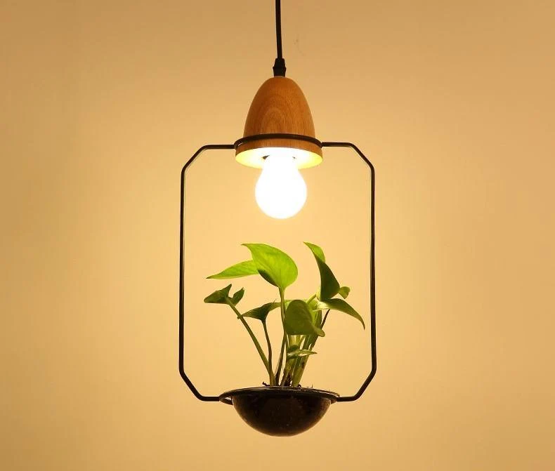 Zox Modern Nordic Iron Pendant Planter Lamp with 59 Inch Cable