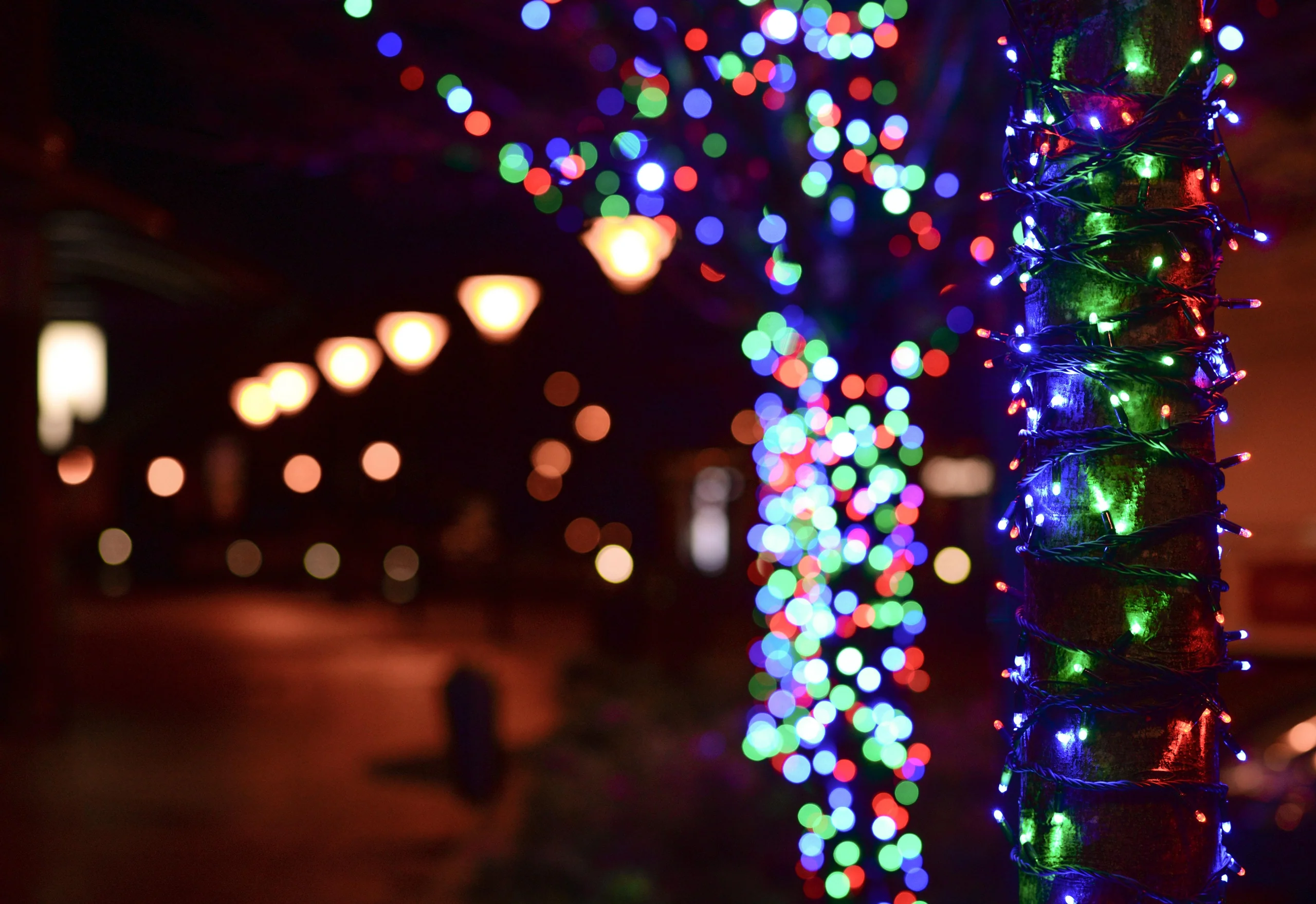 Trixie LED Solar Powered Fairy Lights for Garden, Home and Bar