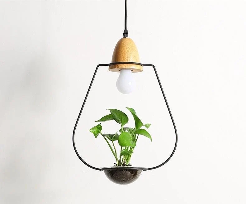 Zox Modern Nordic Iron Pendant Planter Lamp with 59 Inch Cable