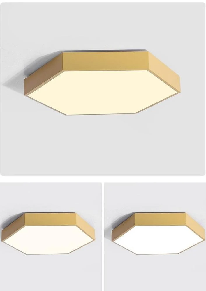 Hex Ceiling Light Flush Mount LED in Iron and Acrylic, 11.8 Inches
