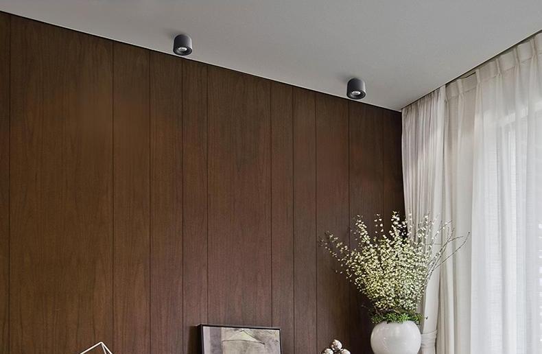 Sere LED Down Spotlight in Matte Aluminum Finish for Home and Office