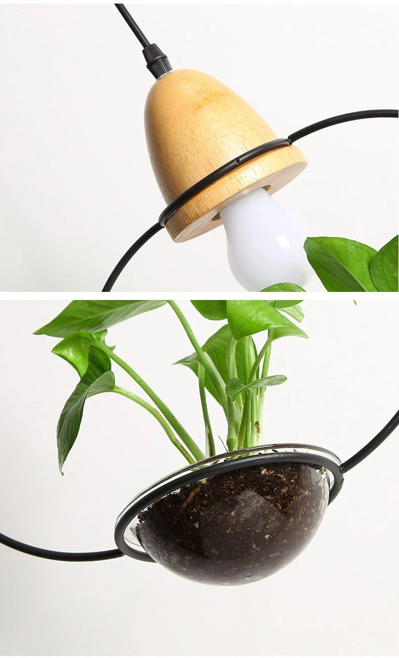 Zox Modern Nordic Iron Pendant Planter Lamp with 59 Inch Cable