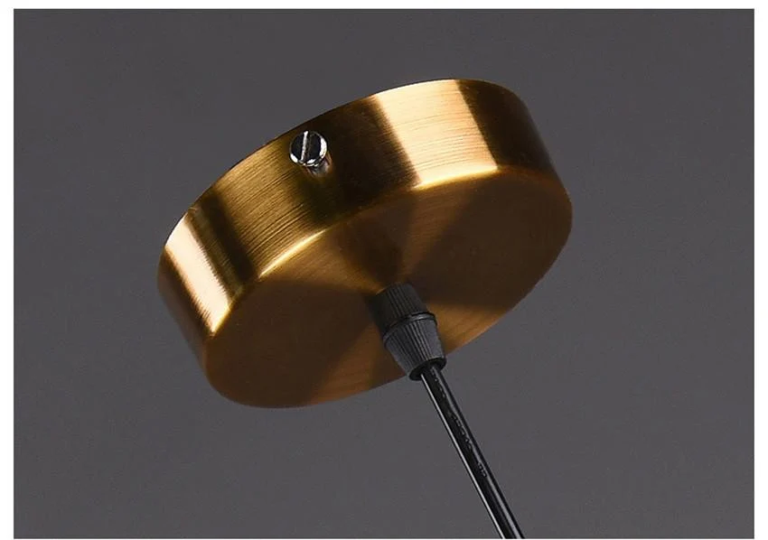 Silvana Modern Ring Pendant Light in Glass and Iron