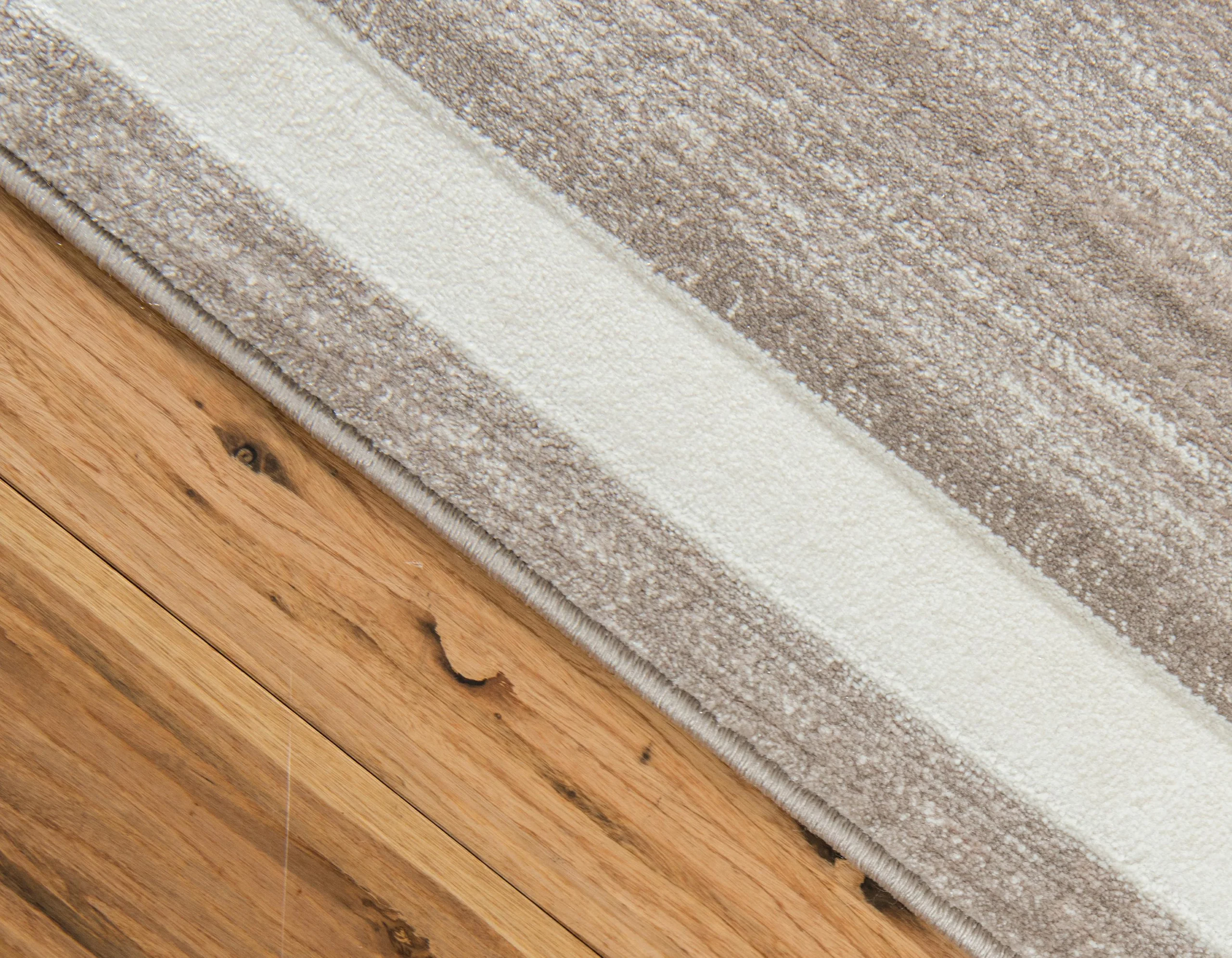 Dangelo Modern European Border Rug by Unique Loom