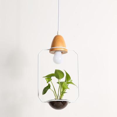 Zox Modern Nordic Iron Pendant Planter Lamp with 59 Inch Cable