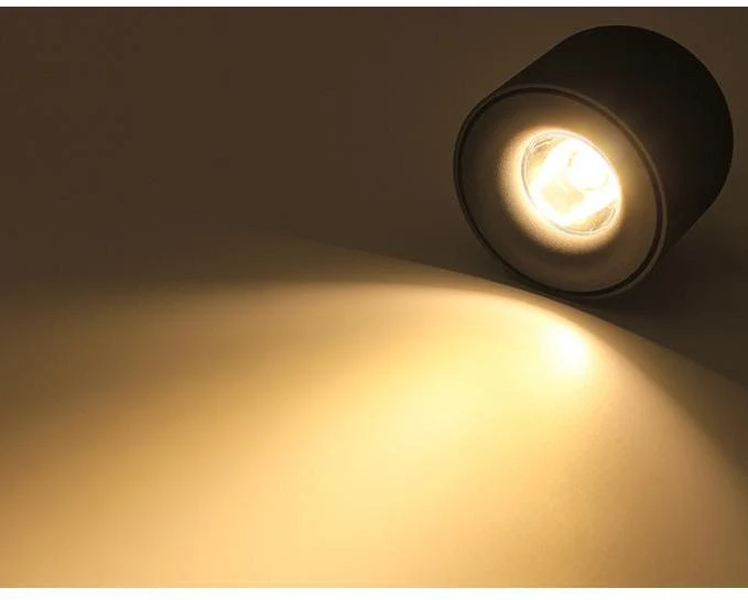 Sere LED Down Spotlight in Matte Aluminum Finish for Home and Office