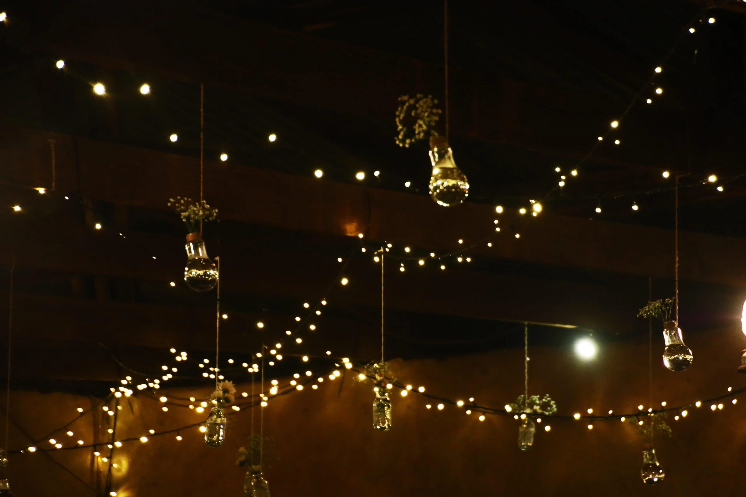 Trixie LED Solar Powered Fairy Lights for Garden, Home and Bar
