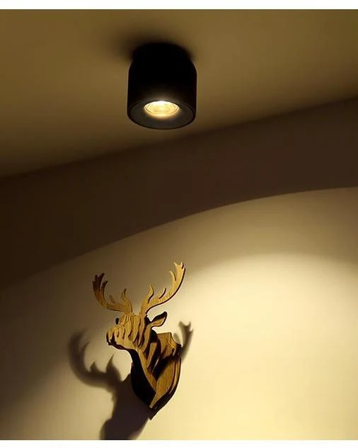Sere LED Down Spotlight in Matte Aluminum Finish for Home and Office