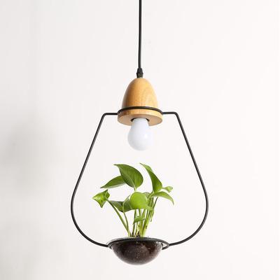 Zox Modern Nordic Iron Pendant Planter Lamp with 59 Inch Cable