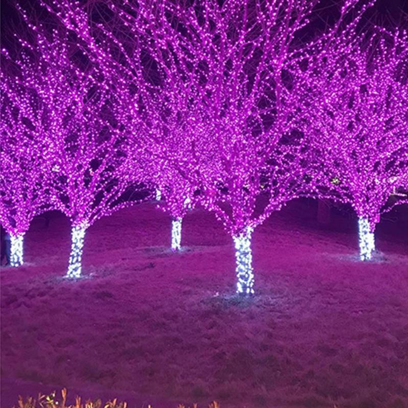 Trixie LED Solar Powered Fairy Lights for Garden, Home and Bar