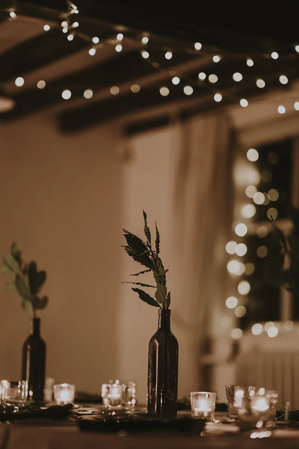Trixie LED Solar Powered Fairy Lights for Garden, Home and Bar