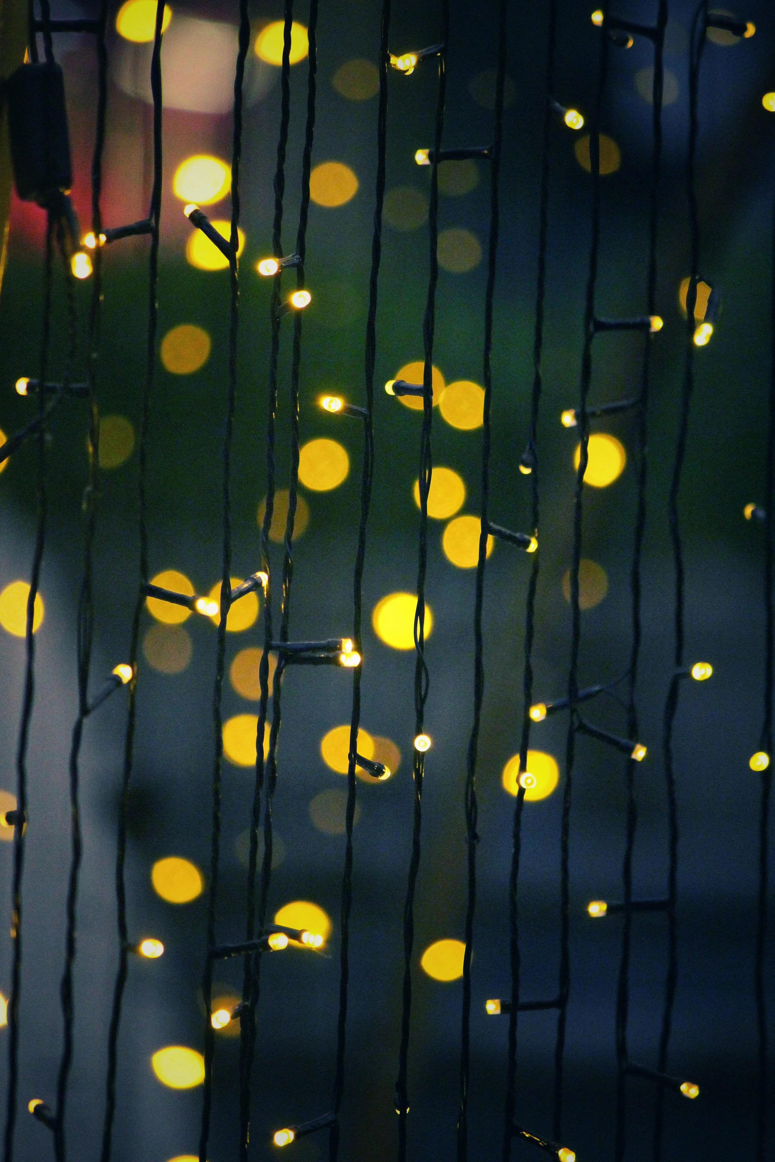 Trixie LED Solar Powered Fairy Lights for Garden, Home and Bar