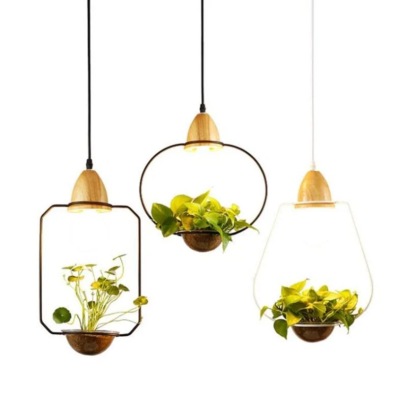 Zox Modern Nordic Iron Pendant Planter Lamp with 59 Inch Cable