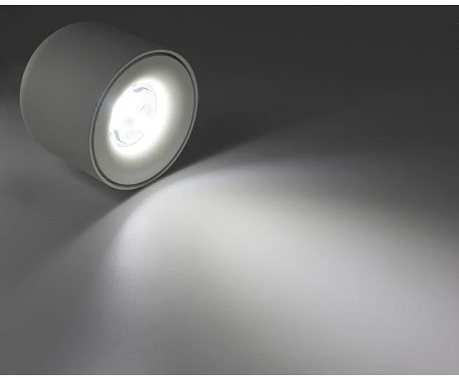 Sere LED Down Spotlight in Matte Aluminum Finish for Home and Office