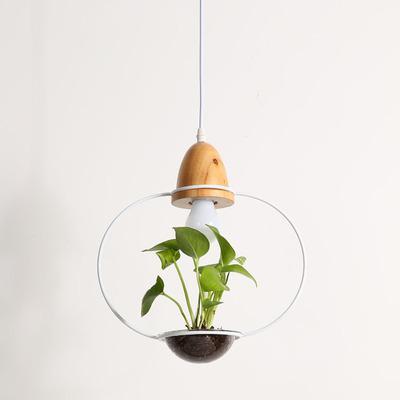 Zox Modern Nordic Iron Pendant Planter Lamp with 59 Inch Cable