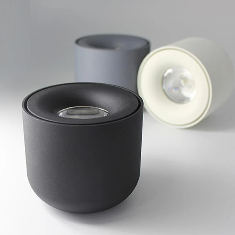Sere LED Down Spotlight in Matte Aluminum Finish for Home and Office