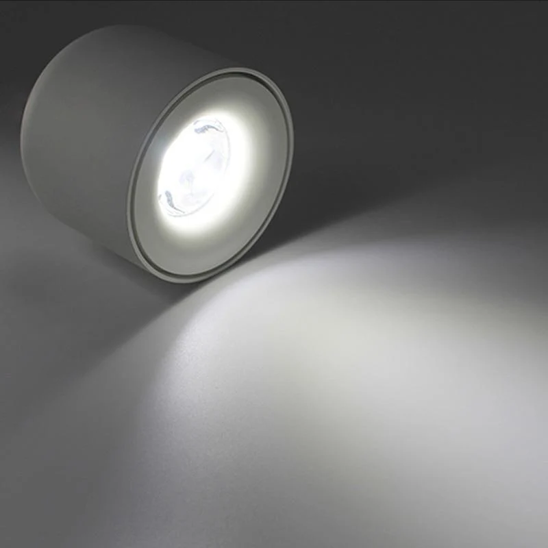Sere LED Down Spotlight in Matte Aluminum Finish for Home and Office