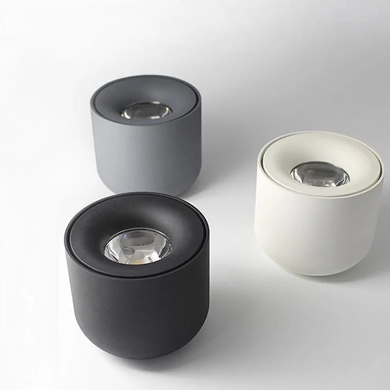 Sere LED Down Spotlight in Matte Aluminum Finish for Home and Office