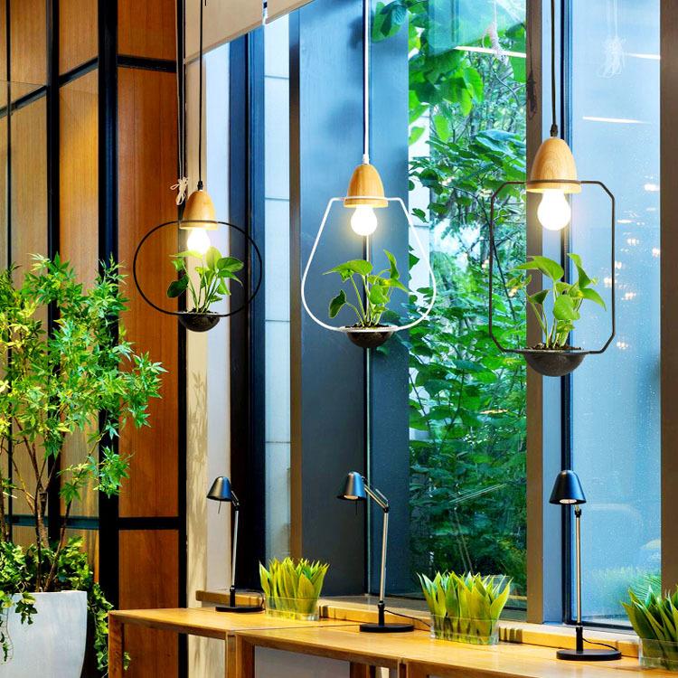 Zox Modern Nordic Iron Pendant Planter Lamp with 59 Inch Cable